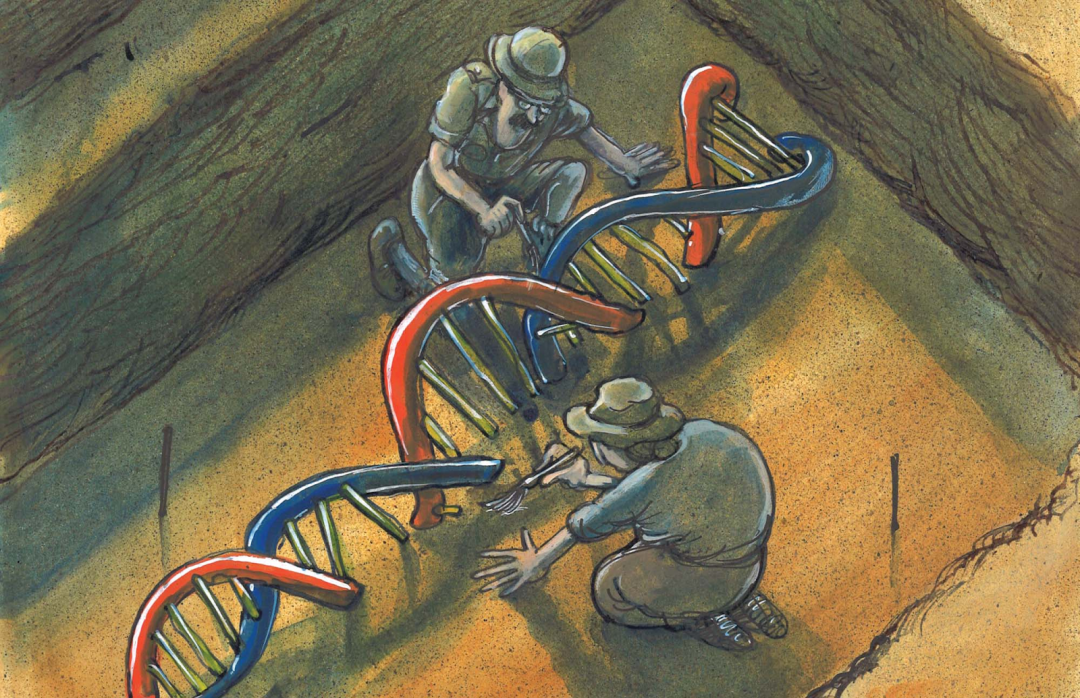 FOSİLLEŞMİŞ KEMİKLERİN SÖZCÜSÜ: ANTİK DNA YÖNTEMİ